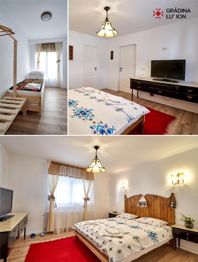 Gradina Lu' Ion "A Home Away From Home" (Adults Only) Vişeu de Sus Eksteriør billede