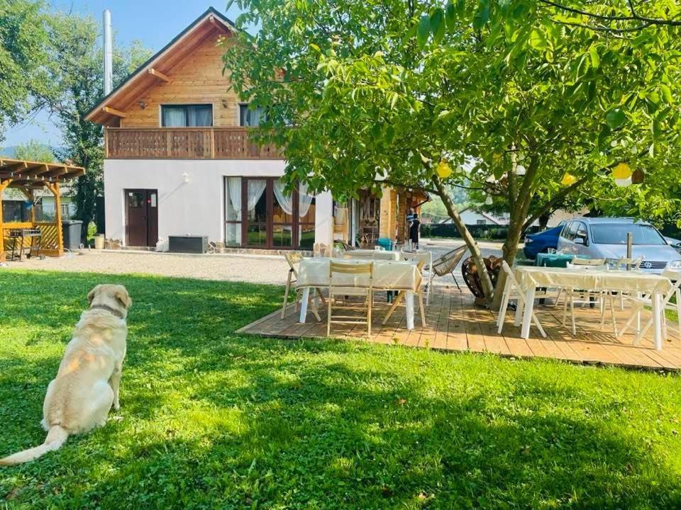 Gradina Lu' Ion "A Home Away From Home" (Adults Only) Vişeu de Sus Eksteriør billede