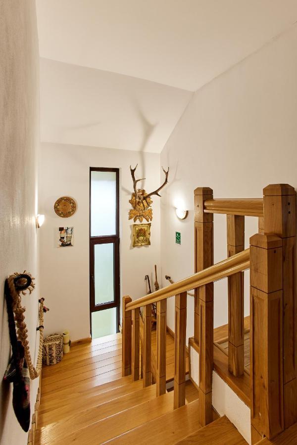 Gradina Lu' Ion "A Home Away From Home" (Adults Only) Vişeu de Sus Eksteriør billede