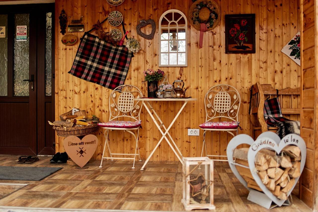 Gradina Lu' Ion "A Home Away From Home" (Adults Only) Vişeu de Sus Eksteriør billede