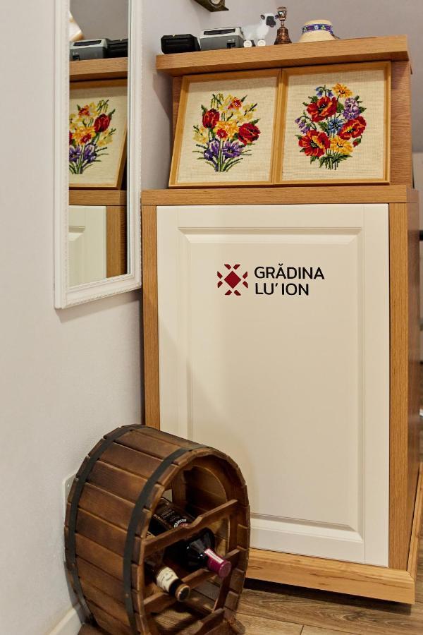 Gradina Lu' Ion "A Home Away From Home" (Adults Only) Vişeu de Sus Eksteriør billede